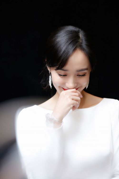 王智