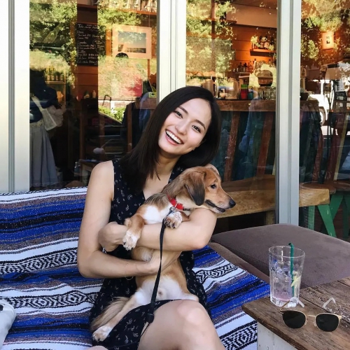 山贺琴子