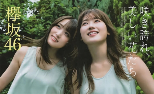 菅井友香
