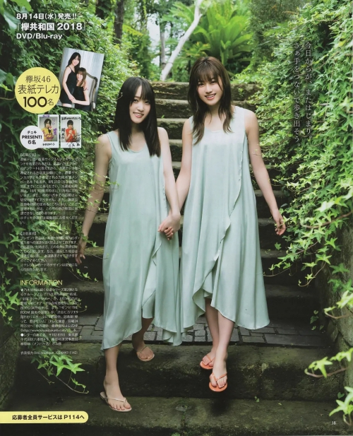 菅井友香