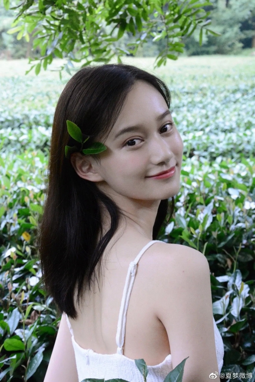 夏梦
