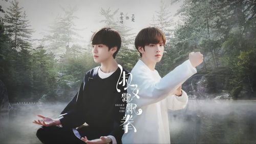 淑女飘飘拳