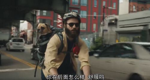 难以伺候 第四季