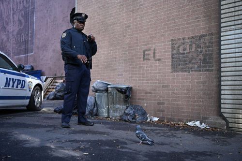 神烦警探 第七季