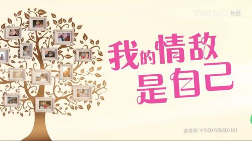 我的情敌是自己
