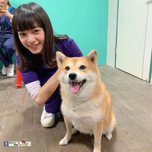 黑喵知情