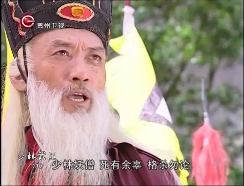 少林武王
