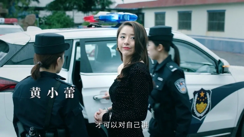 巡回检察组
