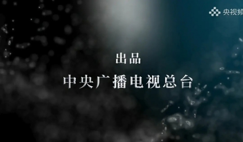 最美逆行者