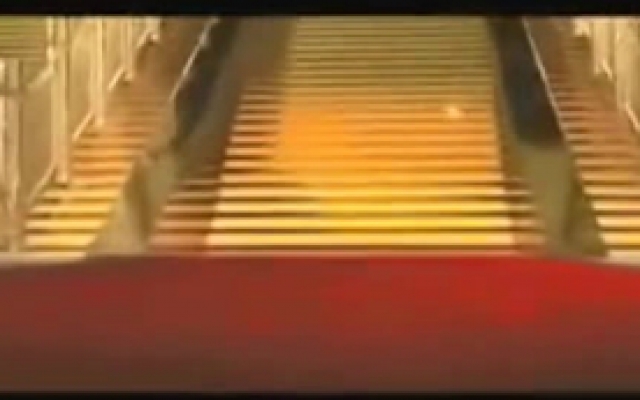 廉政行动1994 预告