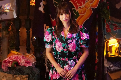 鲁邦的女儿 