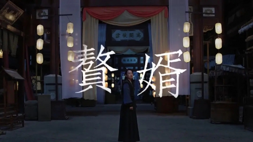 赘婿