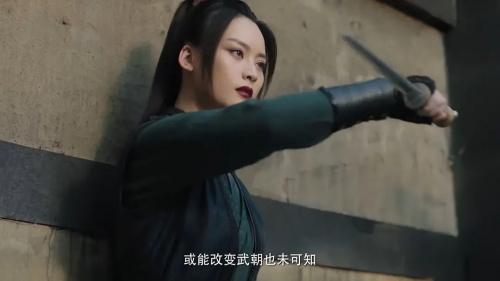 赘婿