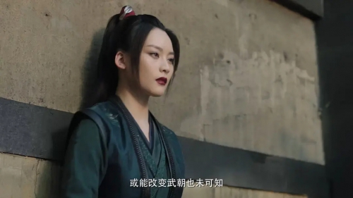 赘婿