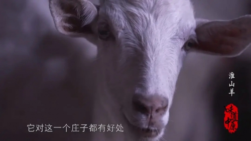 味道中原