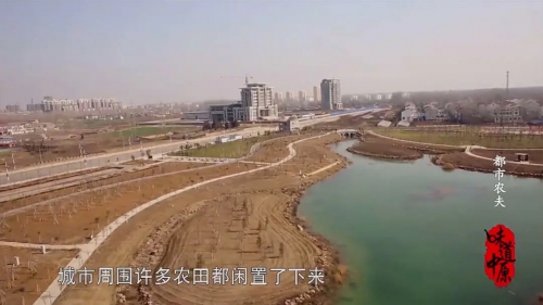味道中原