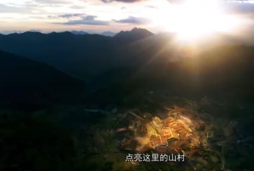 石头开花