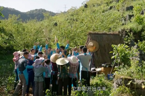 石头开花