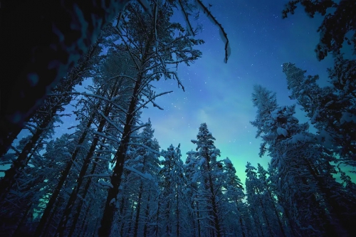 夜色中的地球