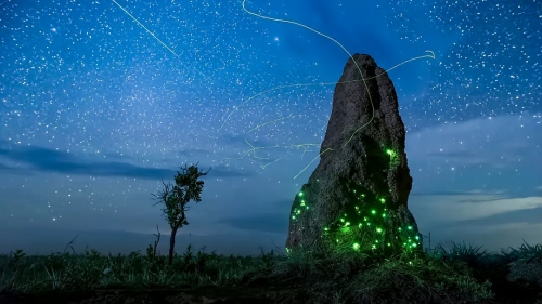 夜色中的地球