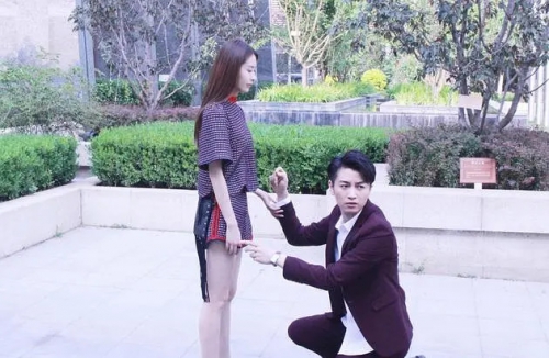 舒克与桃花