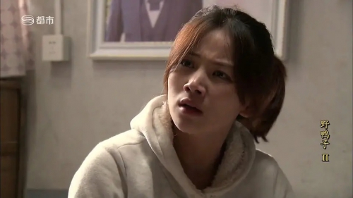 野鸭子2