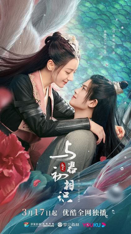 与君初相识