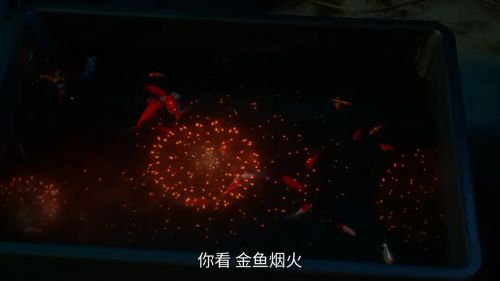 金鱼妻 金魚妻