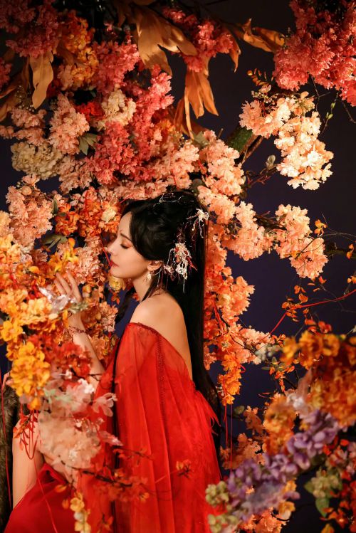 狐妖小红娘·月红篇