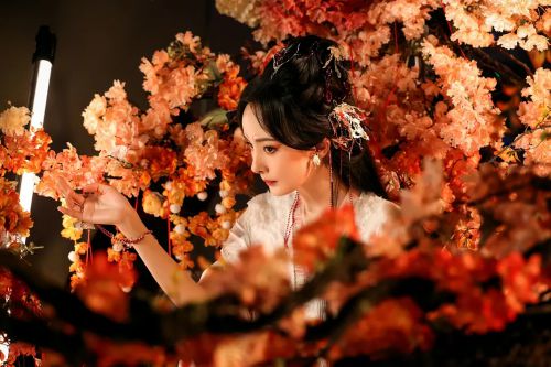 狐妖小红娘·月红篇