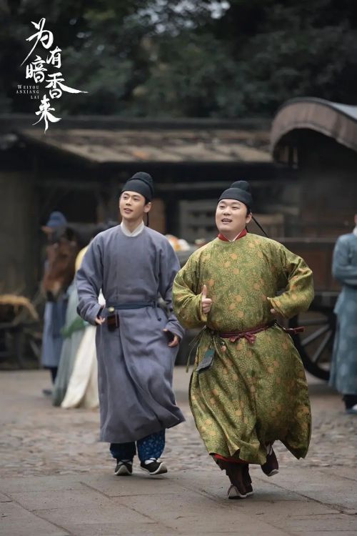 为有暗香来