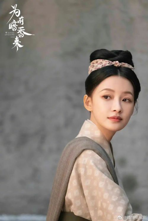 为有暗香来