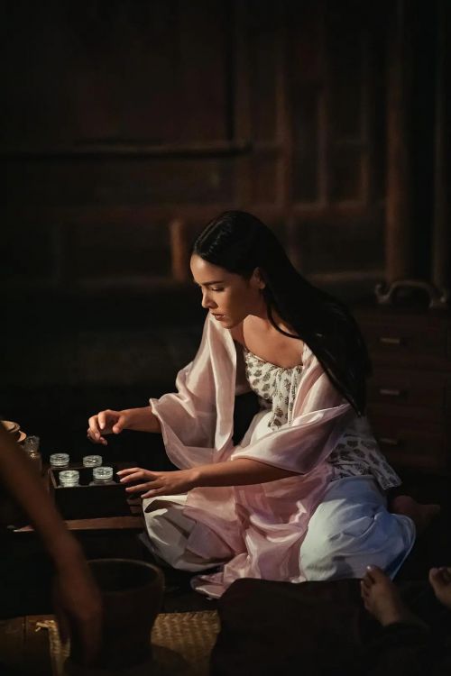 金娜丽花纹