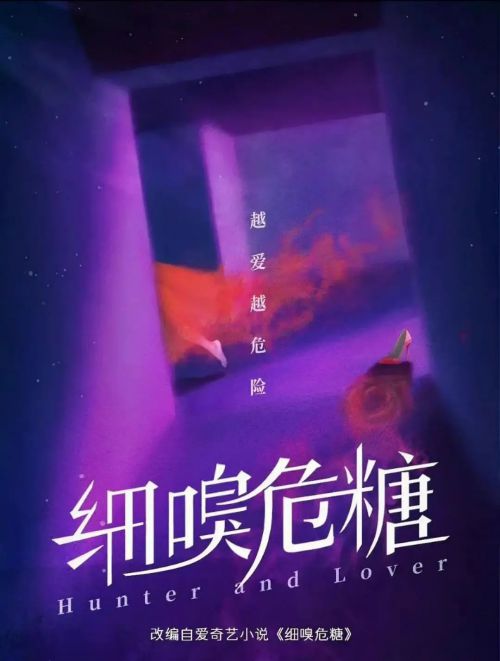 危险爱人
