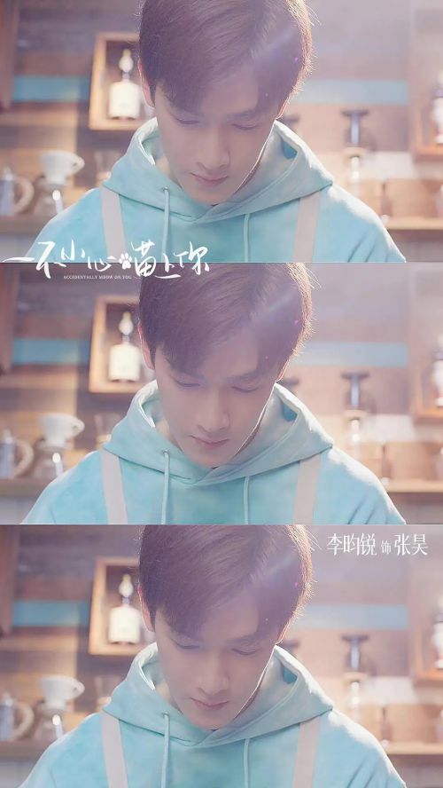 一不小心喵上你