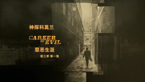 斯特莱克探案集 第二季
