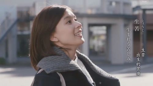 古泷兄弟与四苦八苦