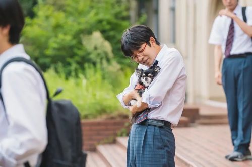 我梦见了那个女孩 あのコの夢を見たんです。