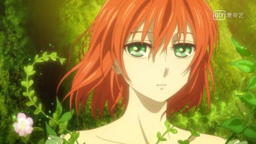 魔法使的新娘 魔法使いの嫁