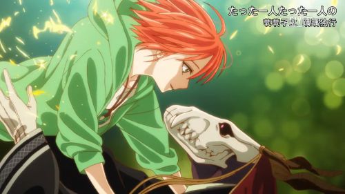魔法使的新娘 魔法使いの嫁