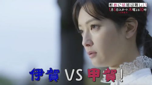 忍者结婚难 忍者に結婚は難しい