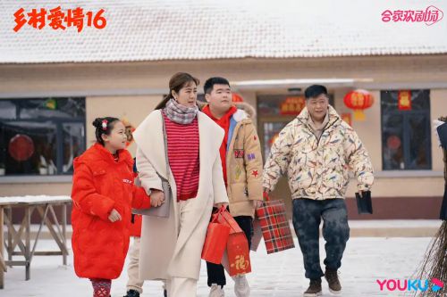乡村爱情16