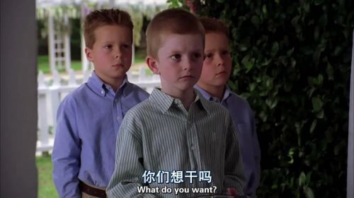 绝望主妇 第一季