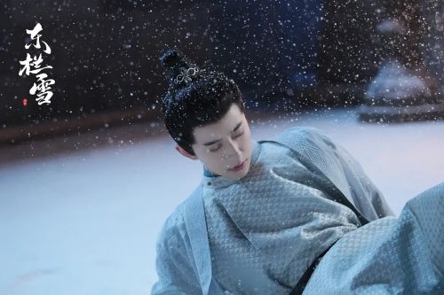 东栏雪