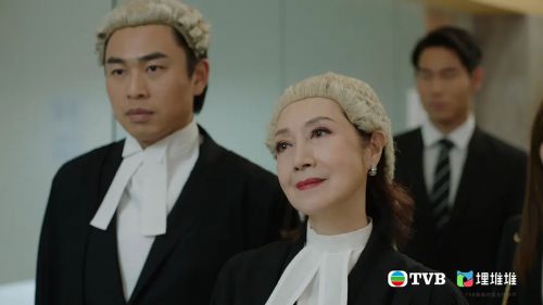 法言人