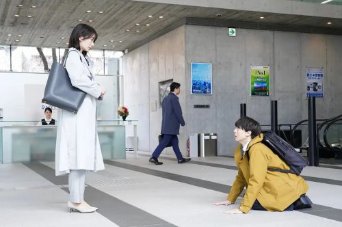 我的媳夫 わたしのお嫁くん