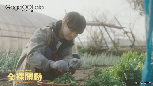 全裸饭 全ラ飯