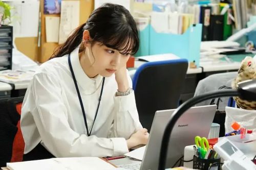 巧克力医生