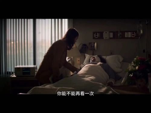 81号档案
