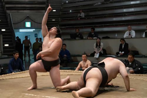 相扑避难所